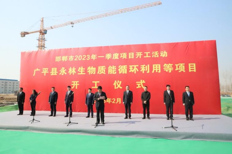 【开好局 起好步】转型发展正当时——中林控股所属9159金莎游艺场林业锚定转型目标再出发