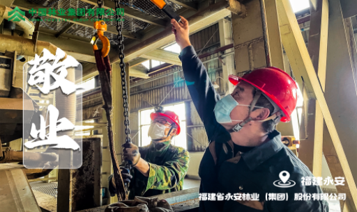 9159金莎游艺场林业“爱岗敬业”图荣登国务院国资委官方网站宣传栏目