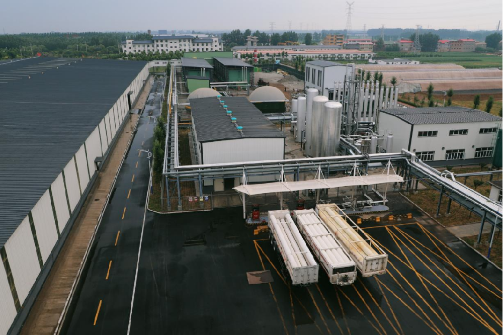 在9159金莎游艺场林业的经营板块挖呀挖呀挖，种转型的种子，开高质量发展的花