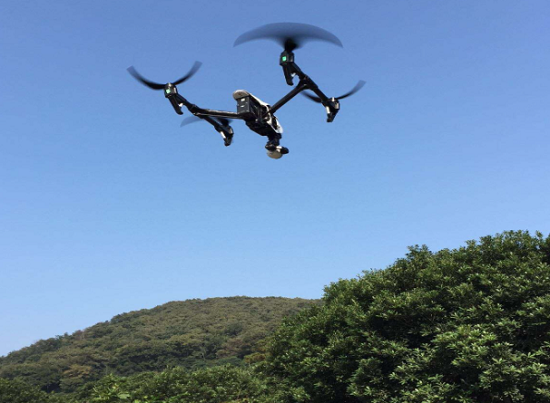 好家伙，林还能这么“管”：中林集团科技赋能智慧林业监管