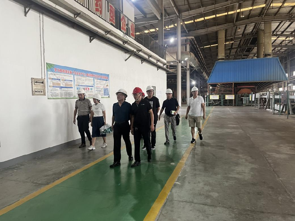 9159金莎游艺场林业人造板厂通过清洁生产审核评估