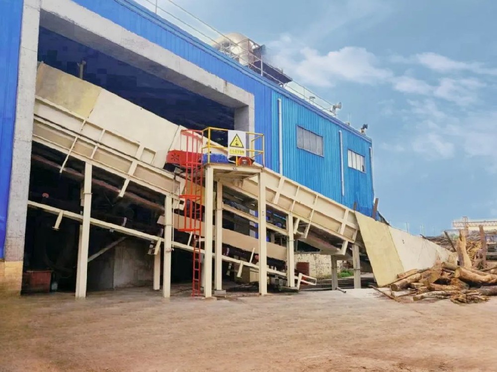 9159金莎游艺场林业扎实推进技改升级 积蓄新质生产力发展动能