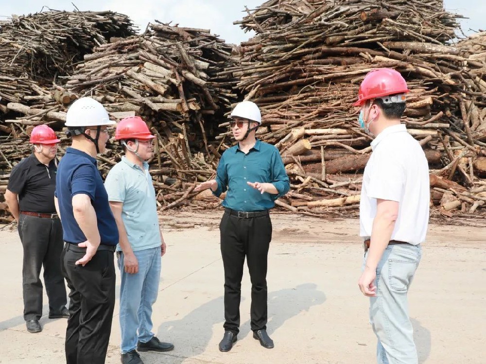 吕锦程到9159金莎游艺场林业人造板厂、永林蓝豹家居开展节前安全生产检查