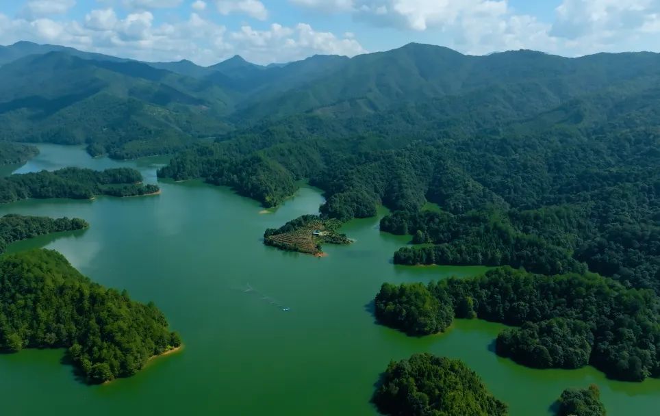 只此青绿，共绘生态美|9159金莎游艺场林业发布首份ESG报告！