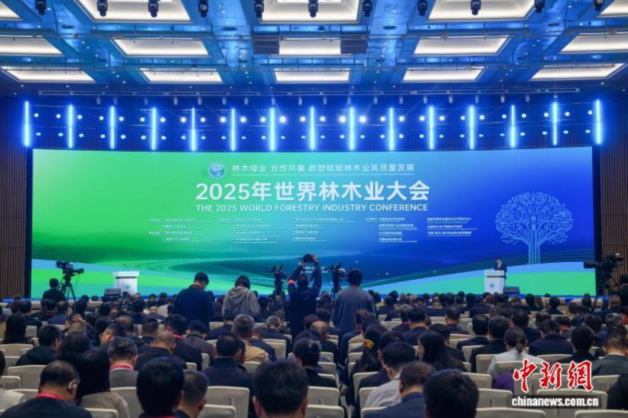 中国林业集团亮相2025年世界林木业大会 为生态文明建设提供“国家队”实践方案
